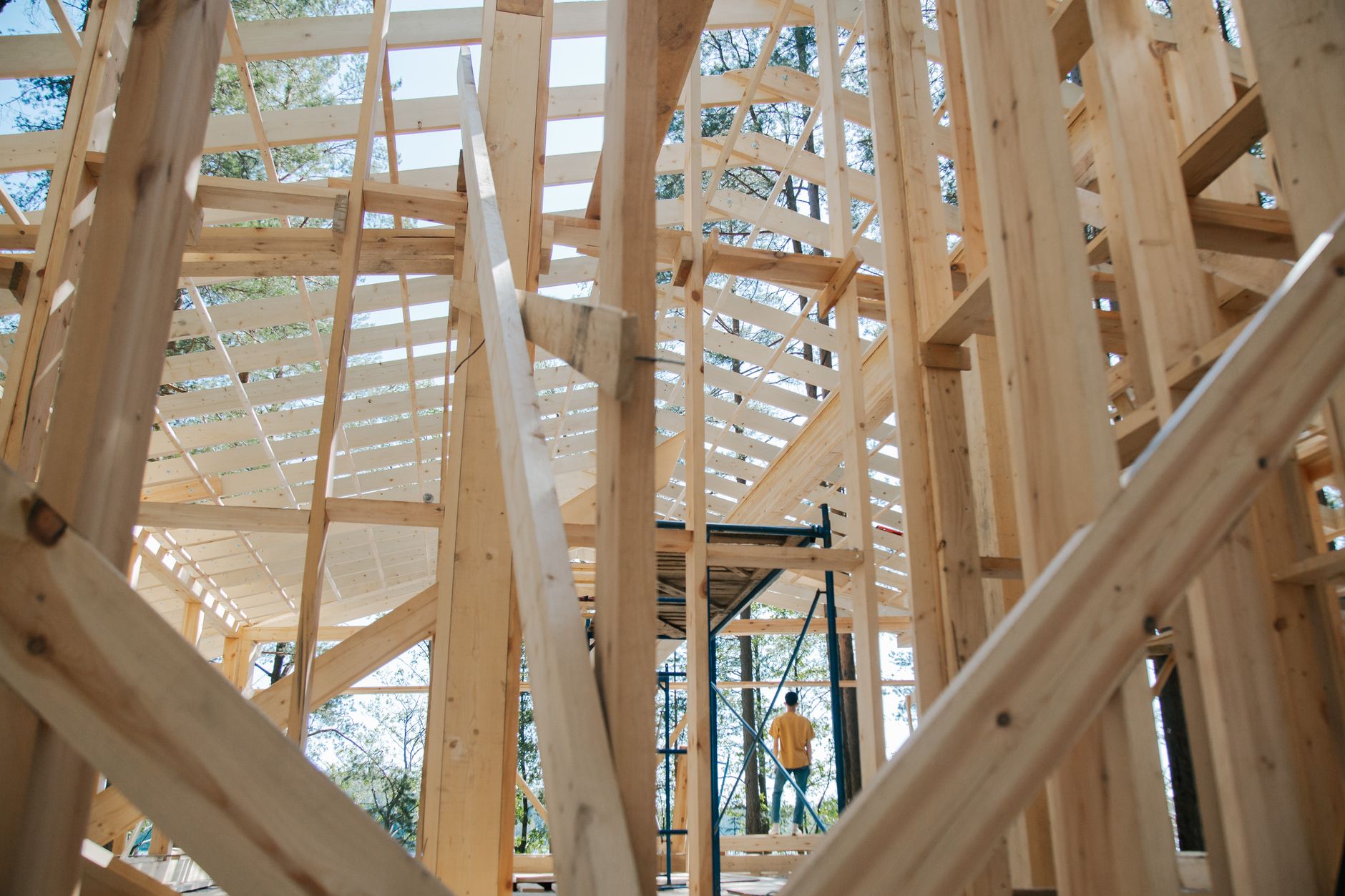 CLT-Massivholz und mehrgeschossiger Holzbau: Der komplette Leitfaden